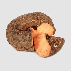 Elephant-Foot-Yam
