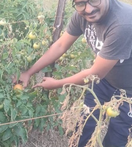 farm3