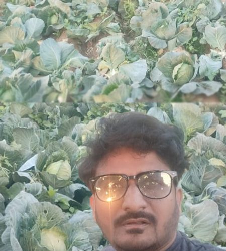 farm6