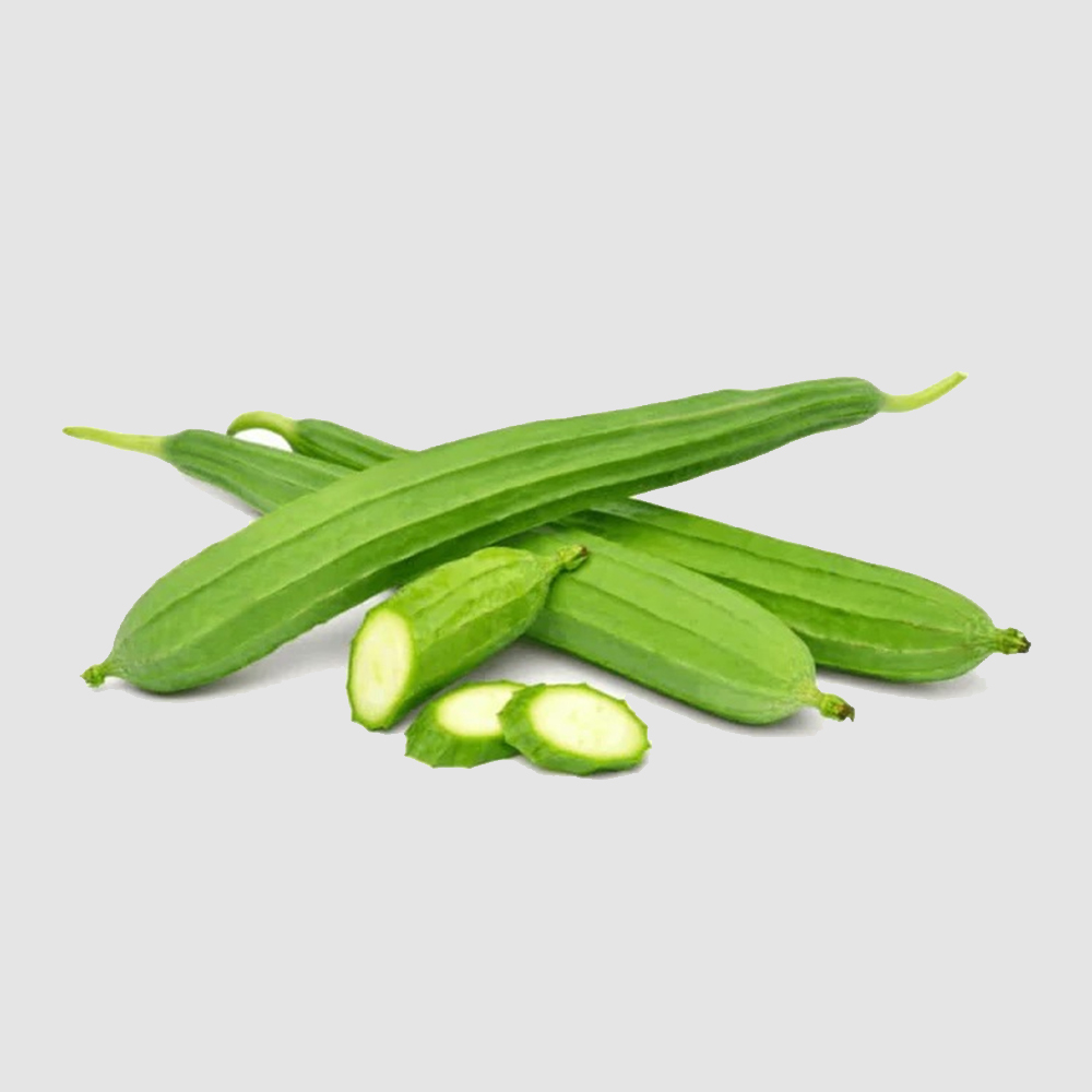 ridge-gourd